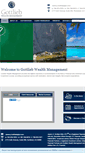 Mobile Screenshot of gottliebwealthmanagement.com